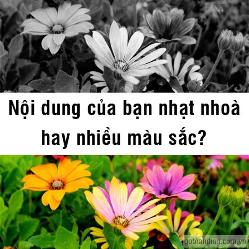 cac-bay-thuong-gap-khi-xay-dung-noi-dung-cho-website1